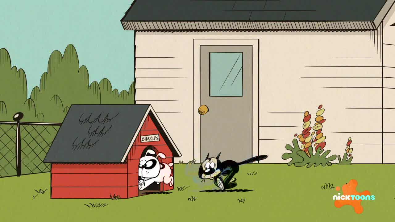 A black cat with wide eyes zooms across the grass, chasing a white dog that's just bolted from its red doghouse. The dog's tail wags furiously as it makes its escape.