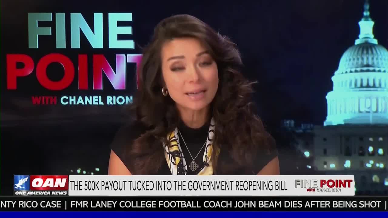 Chanel Rion, on the One America News Network, is speaking directly to the camera, her face lit by studio lights. Behind her, a graphic displays the show's title, "Fine Point," and a stylized image of the United States Capitol Building.
