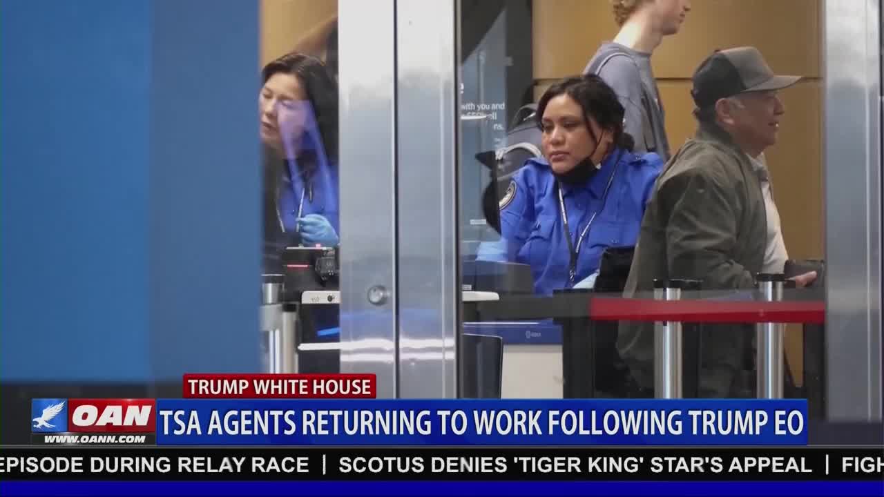 TSA agents in blue uniforms stand at their posts. A man in a baseball cap walks past a security checkpoint.