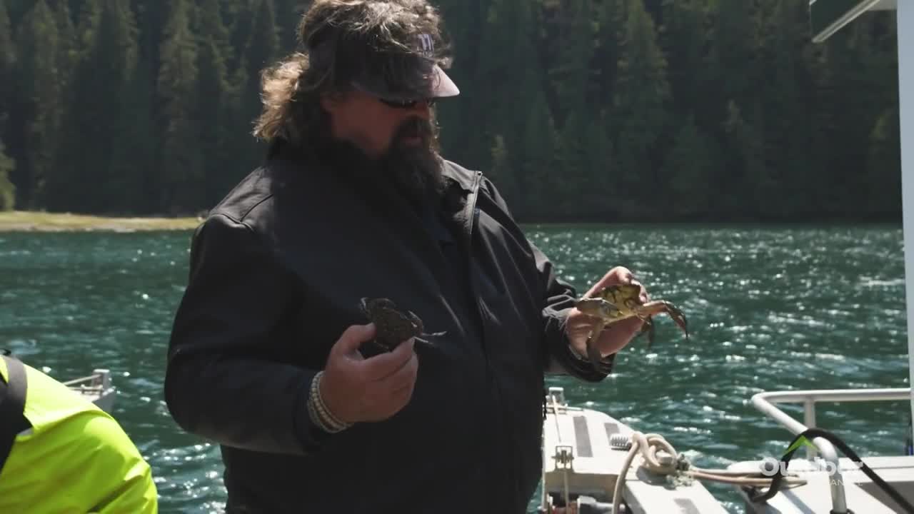 A man on a boat holds two crabs, one in each hand, examining them closely. The water reflects the sunlight, and a forested shoreline is visible in the distance.
