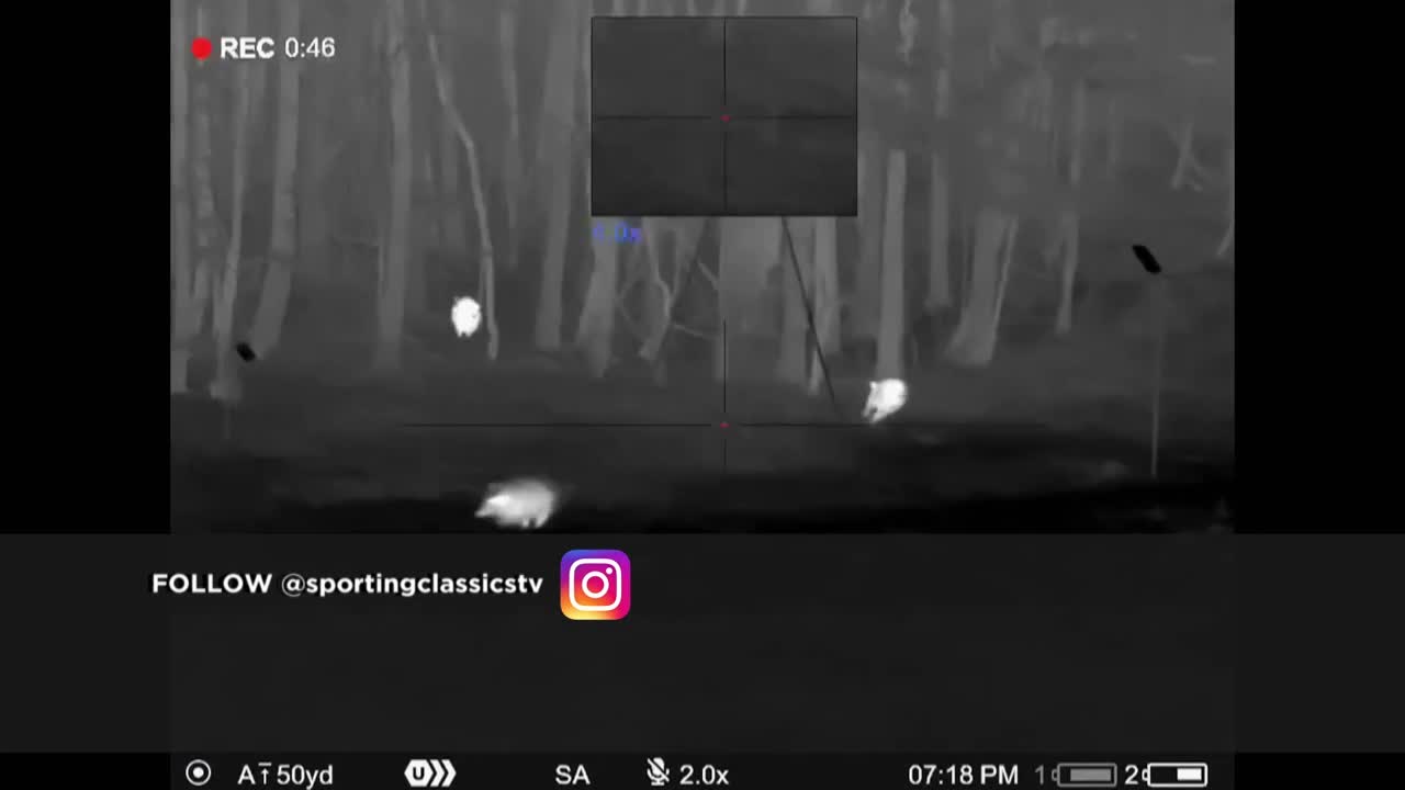 Through the thermal scope, several glowing shapes move among the trees. The shapes, likely animals, are scattered across the forest floor.
