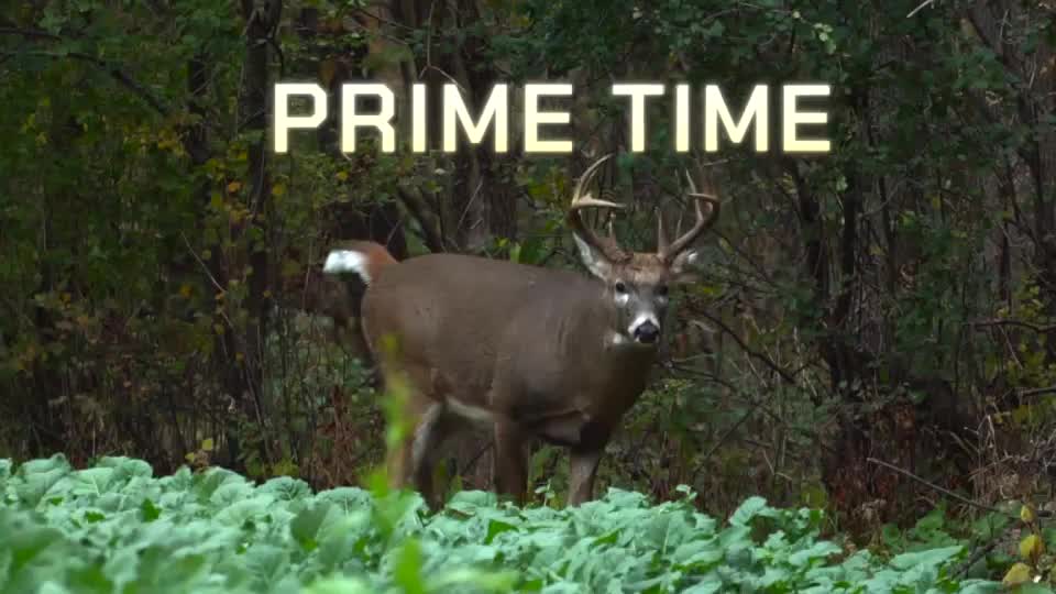A large buck stands in a field, its antlers prominent against the backdrop of the woods. "Prime Time" glows above it, a scene likely from a hunting show on the Pursuit Channel.

