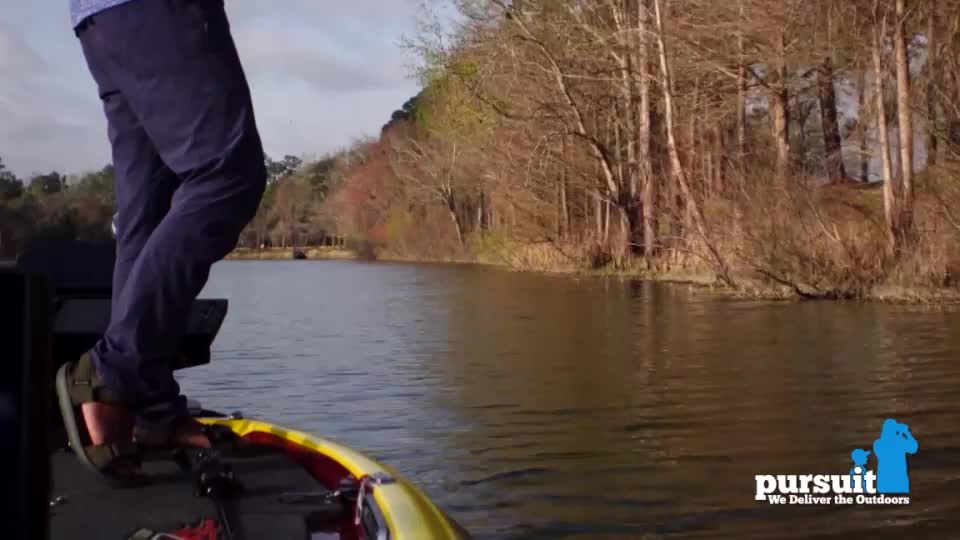 A person in blue pants and sandals stands on a boat, looking out over the water. The boat is moving toward a tree-lined shore, as seen on Pursuit Channel.
