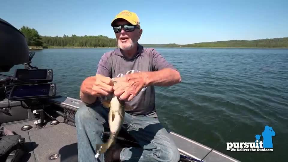 A man in a yellow cap and sunglasses holds a small fish, its belly facing the camera. He's sitting in a boat on a calm lake, with the Pursuit Channel logo visible in the corner.
