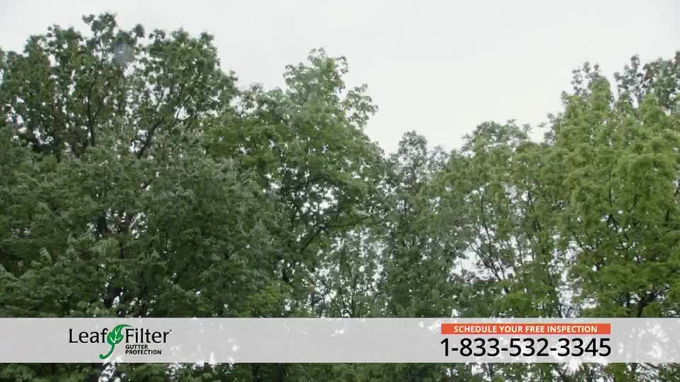 Towering trees, their leaves a deep green, fill the frame against a cloudy sky. A Leaf Filter ad appears at the bottom, offering a free inspection.
