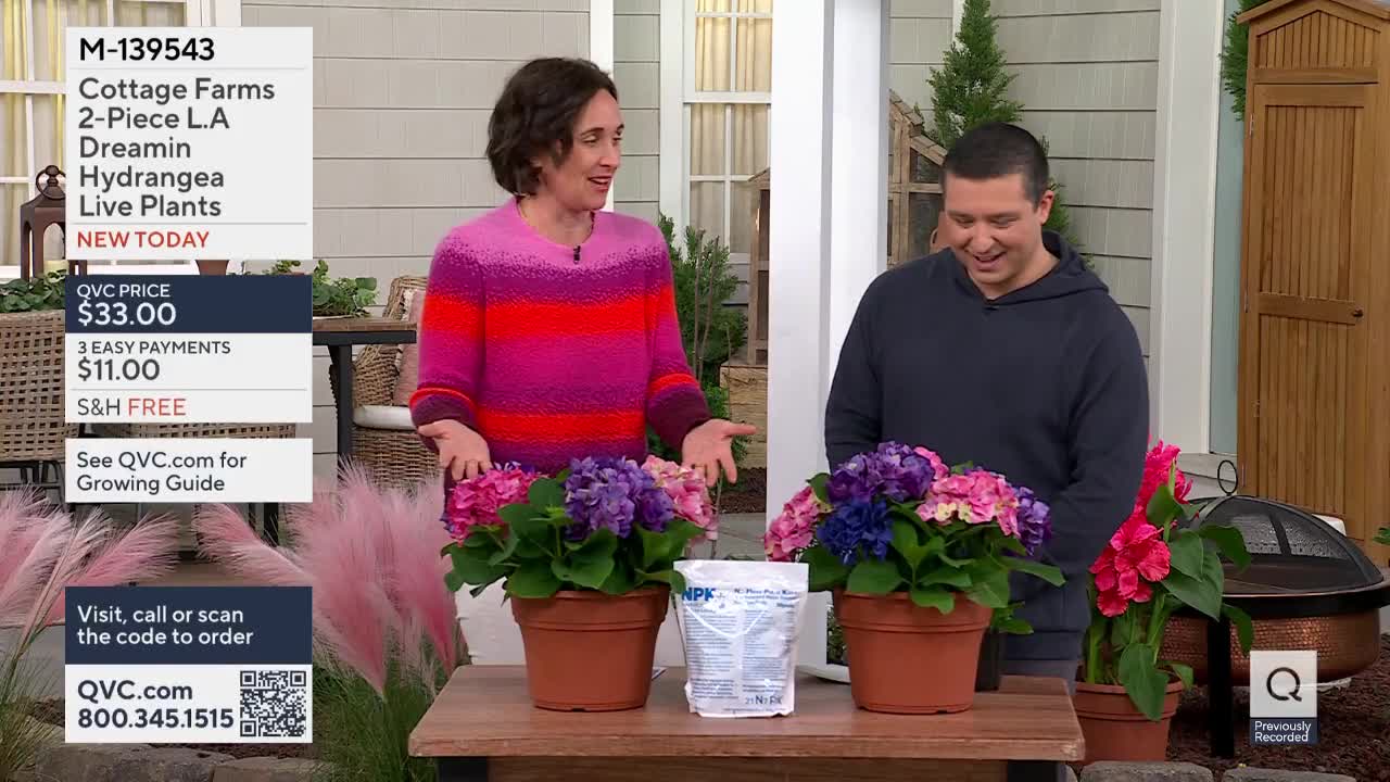 A woman in a colorful sweater gestures towards two potted hydrangeas, while a man beside her laughs. A bag of plant food sits between the vibrant pink and purple blooms.