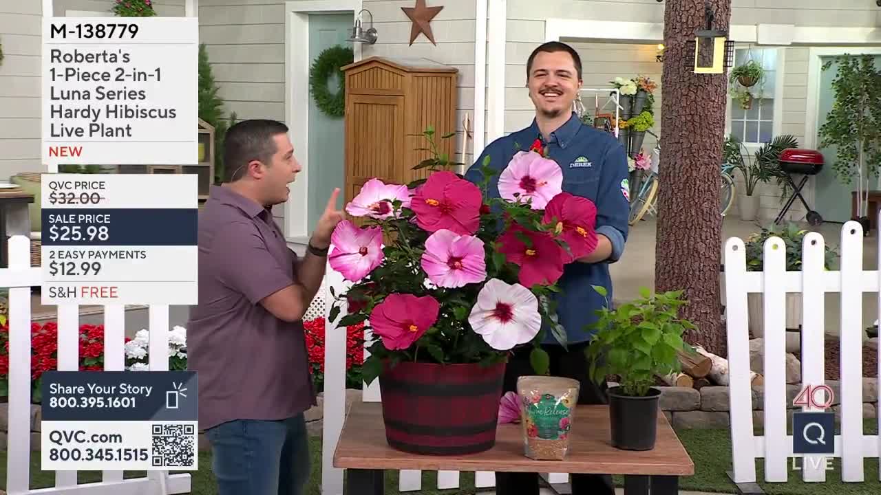 A man in a purple shirt gestures animatedly towards a large potted hibiscus plant bursting with vibrant pink and deep magenta blooms. Another man, in a denim shirt, smiles broadly as he holds the same plant, its large flowers catching the light.