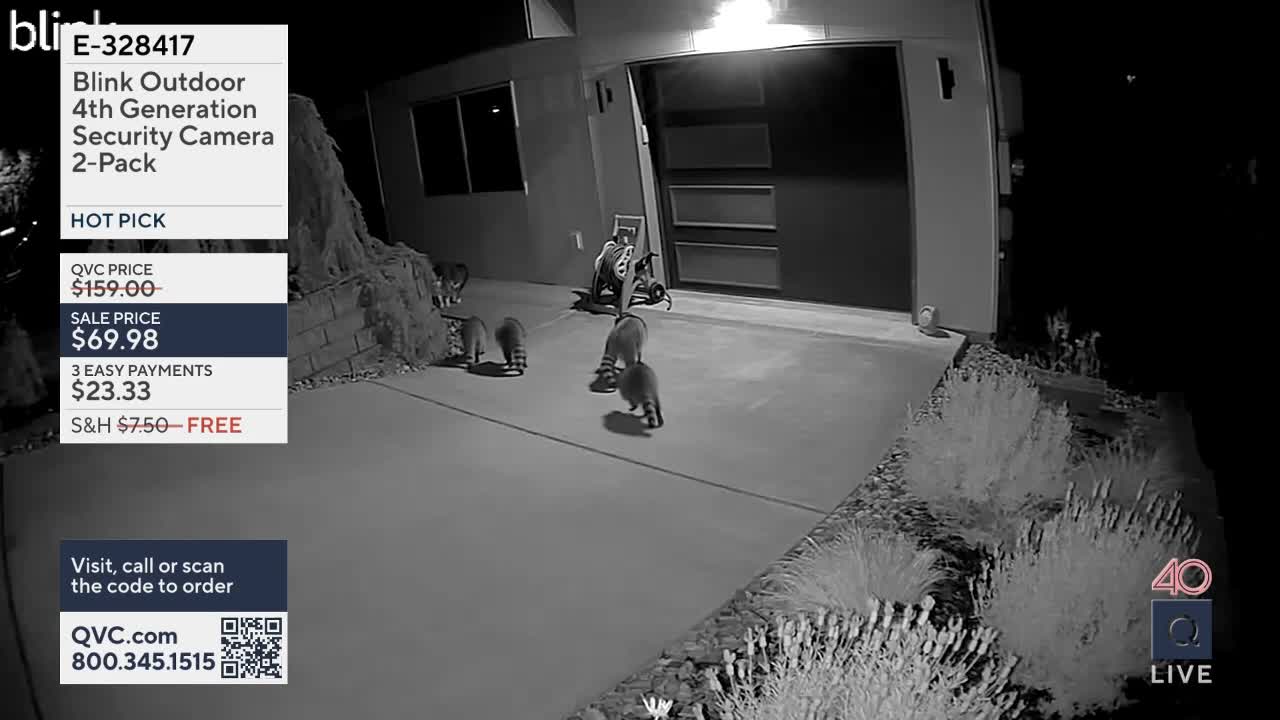 A family of raccoons ambles across the driveway at night. One of them pauses near a child's stroller.