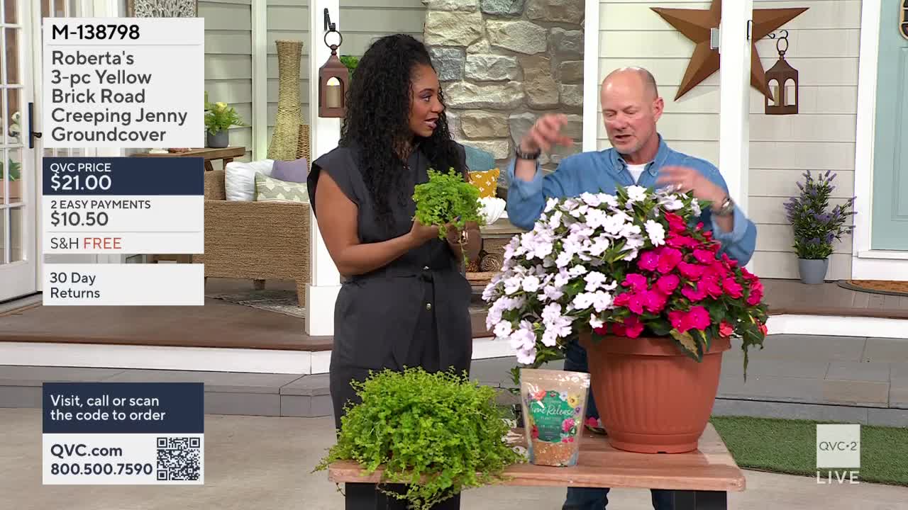 A woman holds a small green plant while a man gestures towards a large pot overflowing with bright pink and white flowers. On QVC2, they're presenting Roberta's 3-pc Yellow Brick Road Creeping Jenny groundcover.