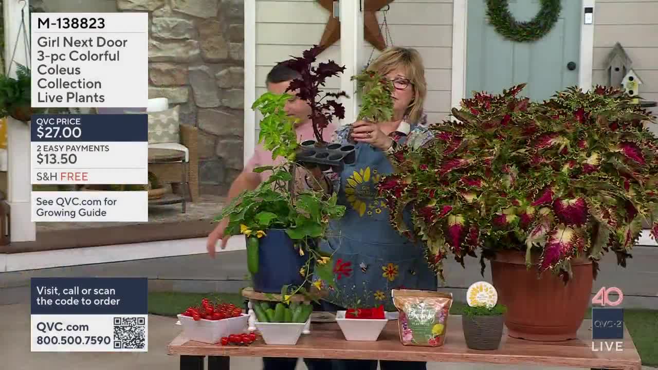 A woman on QVC2 holds up a small, leafy plant. Beside her, a large potted coleus overflows with vibrant, multi-colored leaves.