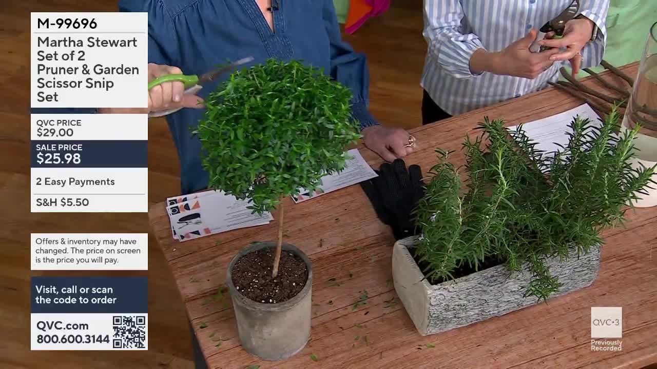 A woman trims a small, round topiary with green-handled shears. Next to it, a planter overflows with fragrant rosemary.