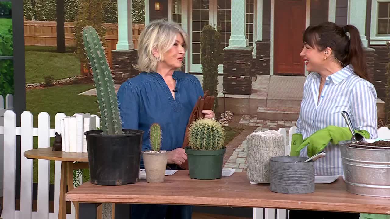 A woman in a blue denim shirt gestures towards a tall, spiky cactus. Beside her, another woman in a striped shirt and green gloves smiles, holding a trowel.