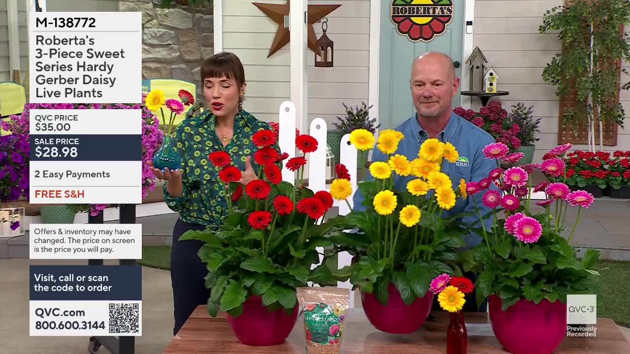 A woman in a green floral shirt gestures with a small blue vase as she stands next to vibrant red gerbera daisies. A man in a blue shirt smiles behind a display of yellow and pink gerbera daisies.