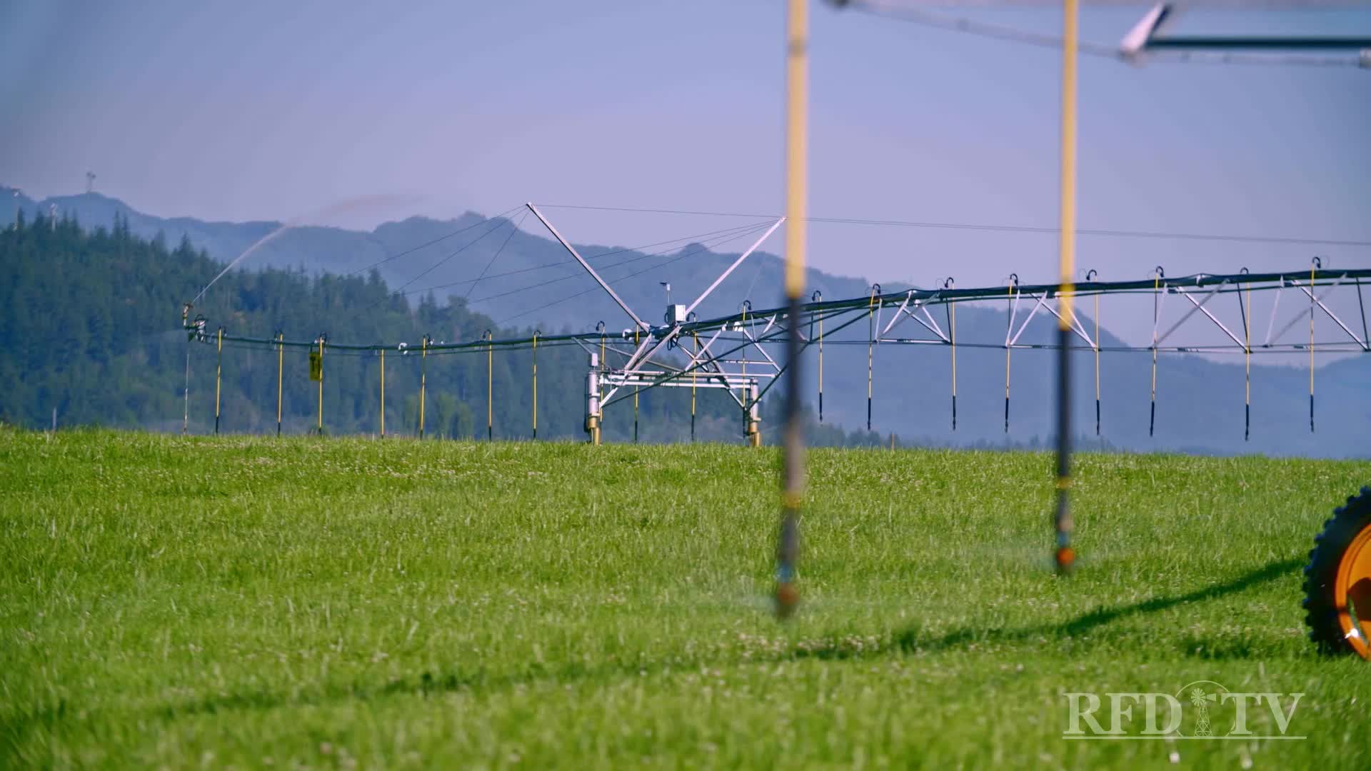 A long irrigation system sprays water over a field of green grass. In the distance, mountains are visible under a hazy, blue sky.
