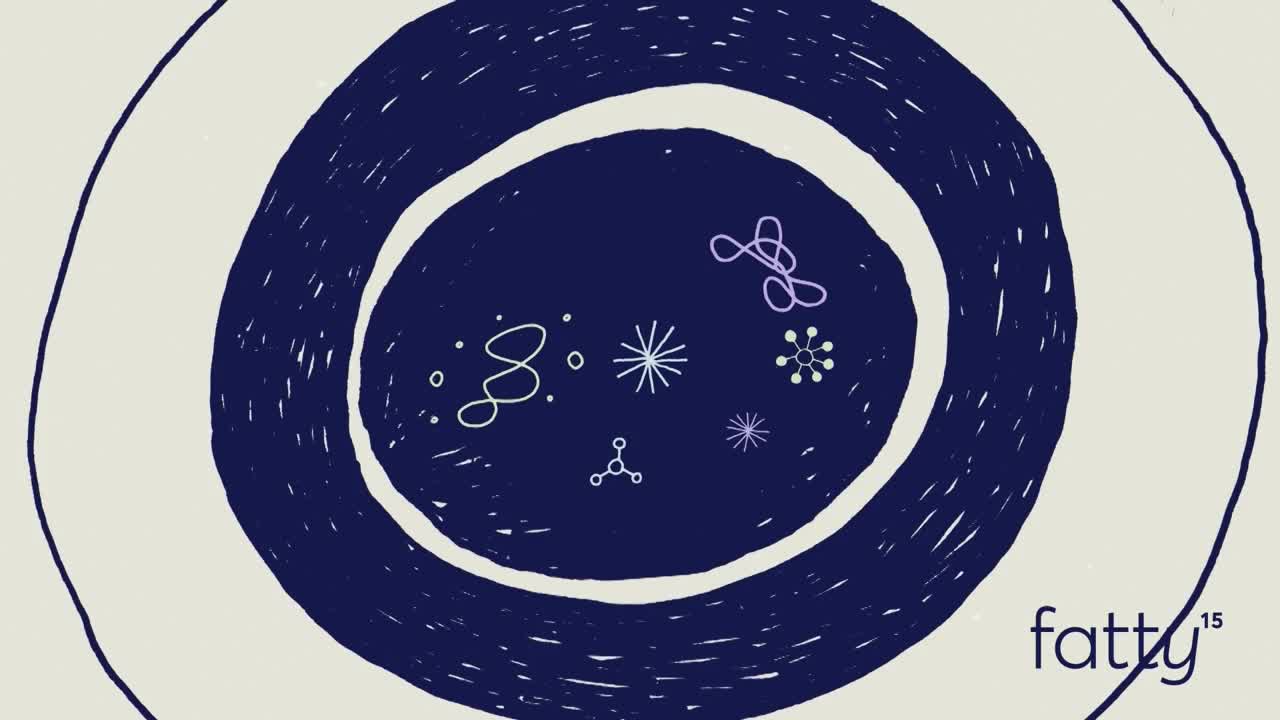 Inside a dark blue circle, several small, white and purple shapes float. The image, with the "fatty¹⁵" logo, suggests a visual from the Smithsonian Channel.
