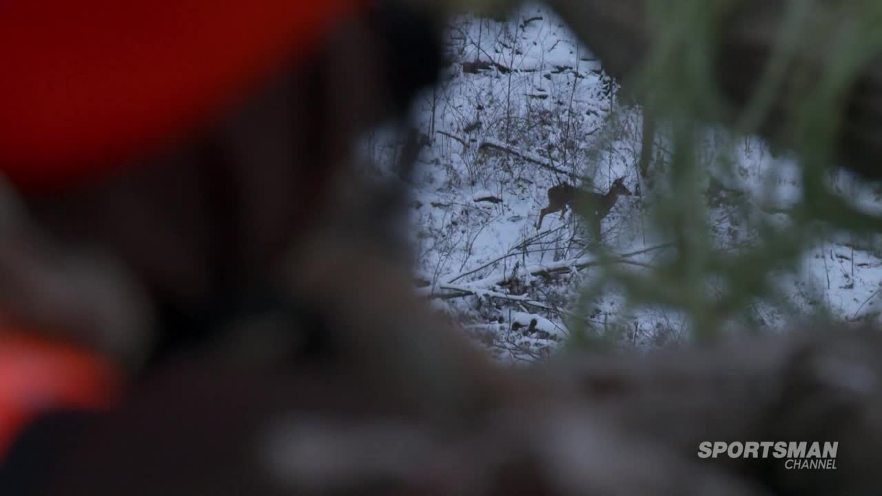 A deer leaps across a snow-covered forest floor. Through the branches, the Sportsman Channel logo is visible in the lower right corner.
