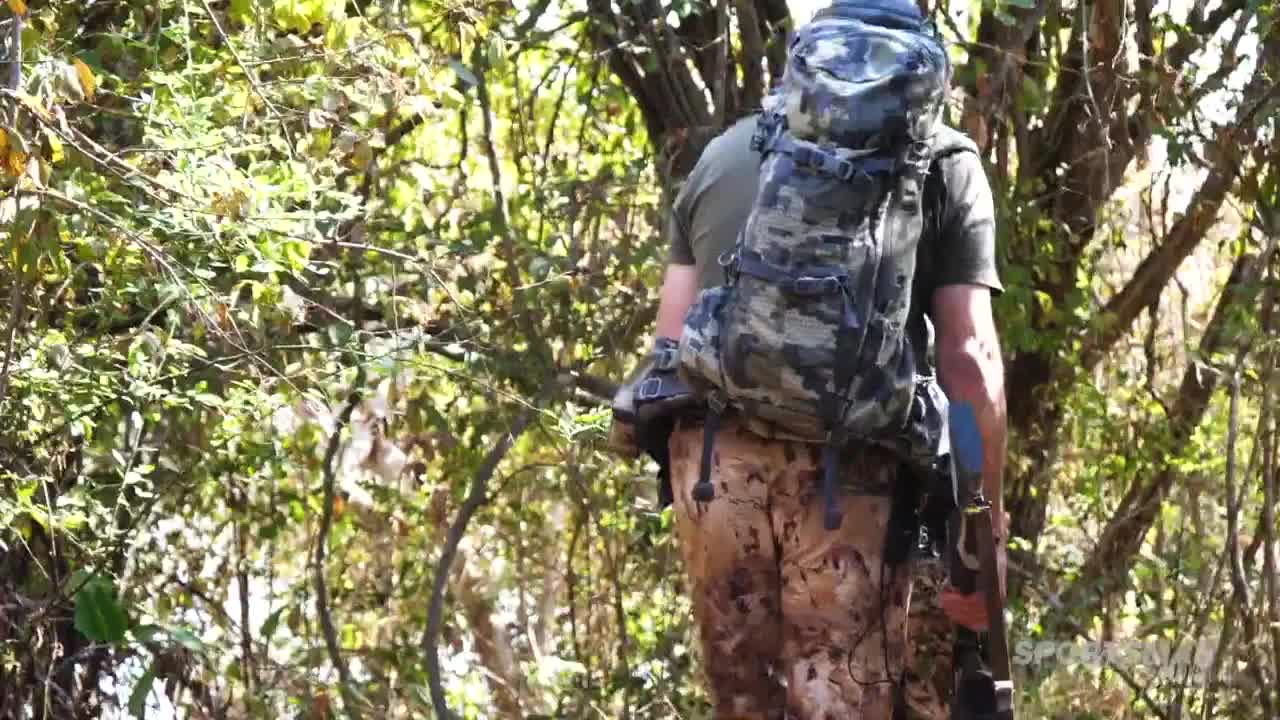 A hunter, clad in camouflage and carrying a rifle, walks through the thick woods. Sunlight filters through the leaves as he navigates the terrain.
