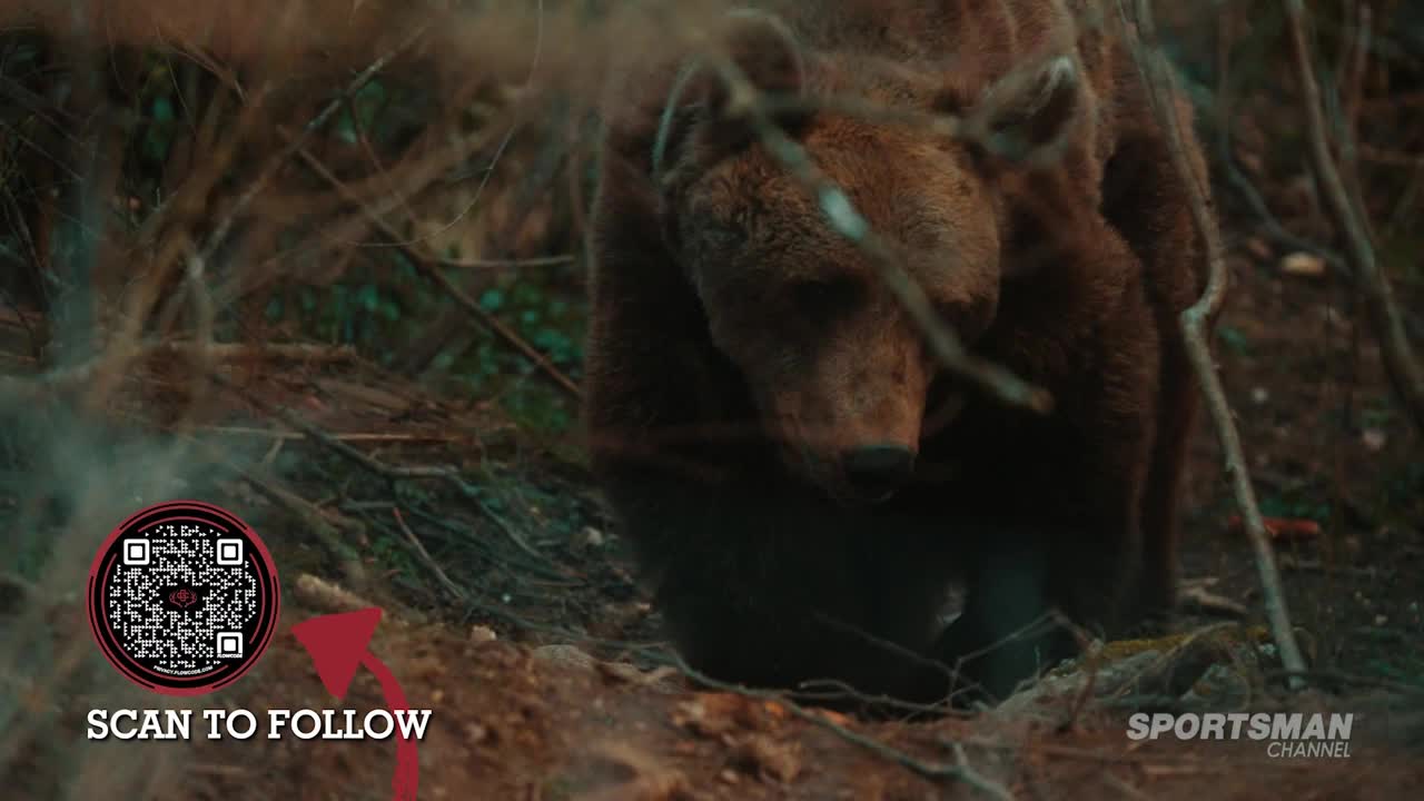 A large brown bear emerges from the undergrowth, its dark fur blending with the shadows. The Sportsman Channel logo is visible, and a QR code encourages viewers to follow.
