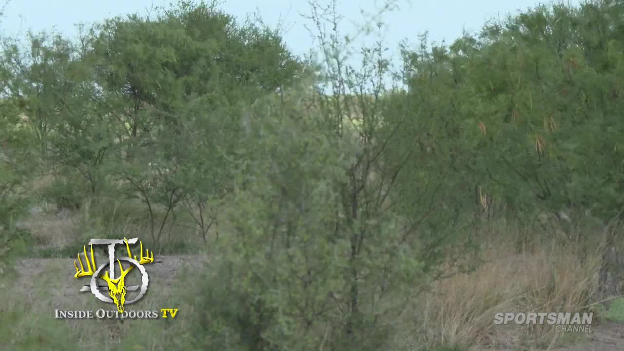 The Sportsman Channel logo sits in the lower right corner of the screen, while the "Inside Outdoors TV" logo is in the lower left. Dense green foliage fills the frame, with a hint of sky visible above.
