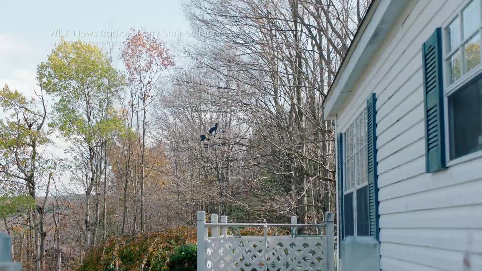 A black weather vane shaped like a dog stands atop a bare tree, silhouetted against the sky. The white siding of a house, typical of many American homes, is visible to the right.