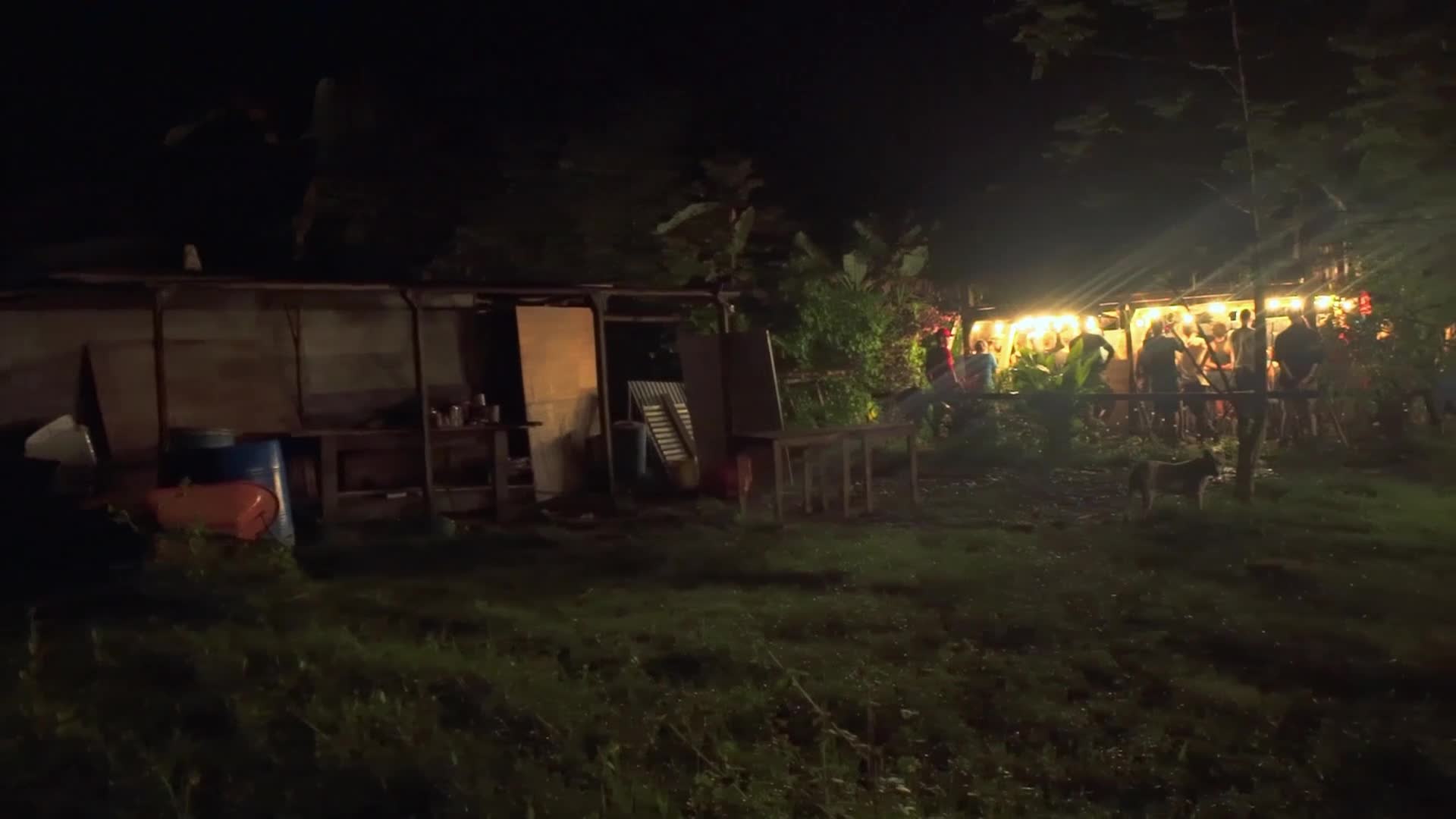 A crowd gathers under string lights at a makeshift bar. Two dogs wander through the yard in front of the scene.
