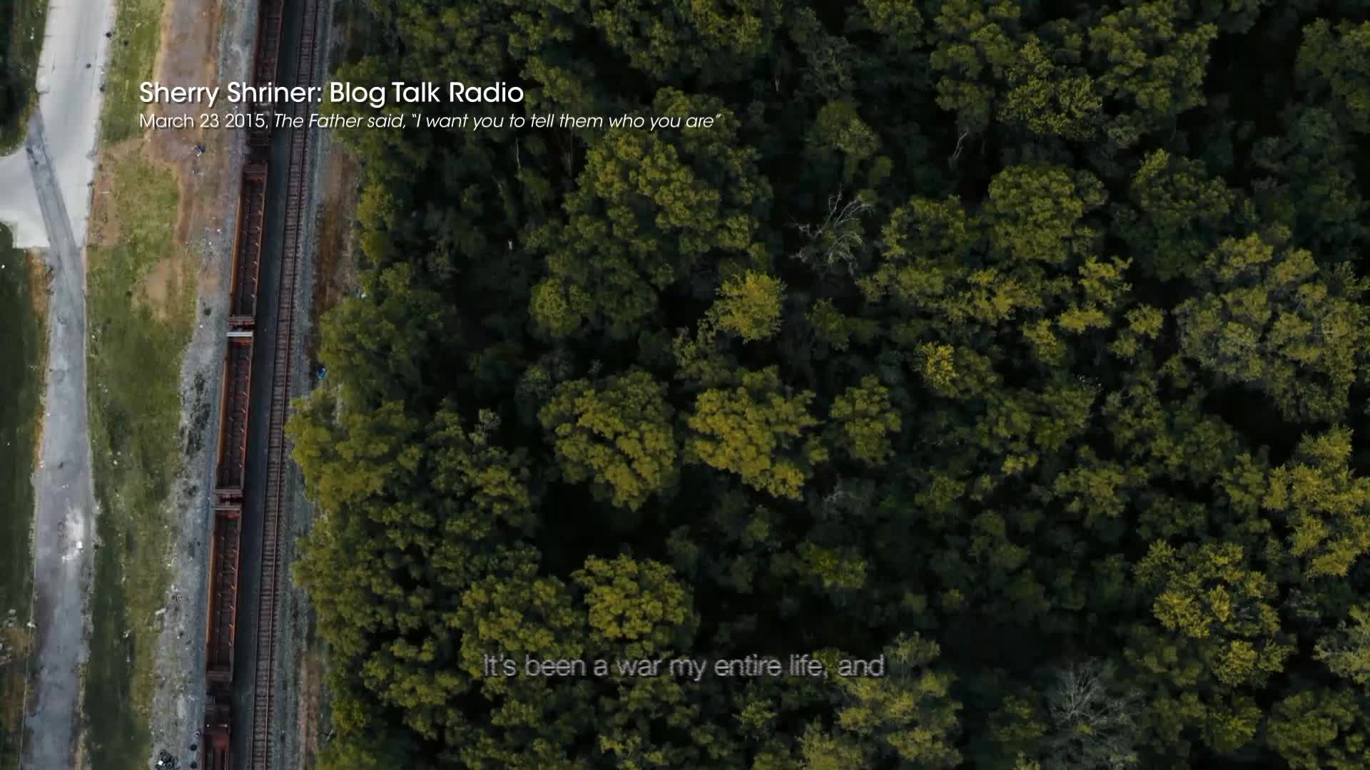 A long freight train moves along the tracks, its cars dark and weathered. The train passes by a dense forest, the trees a deep green against the overcast sky.