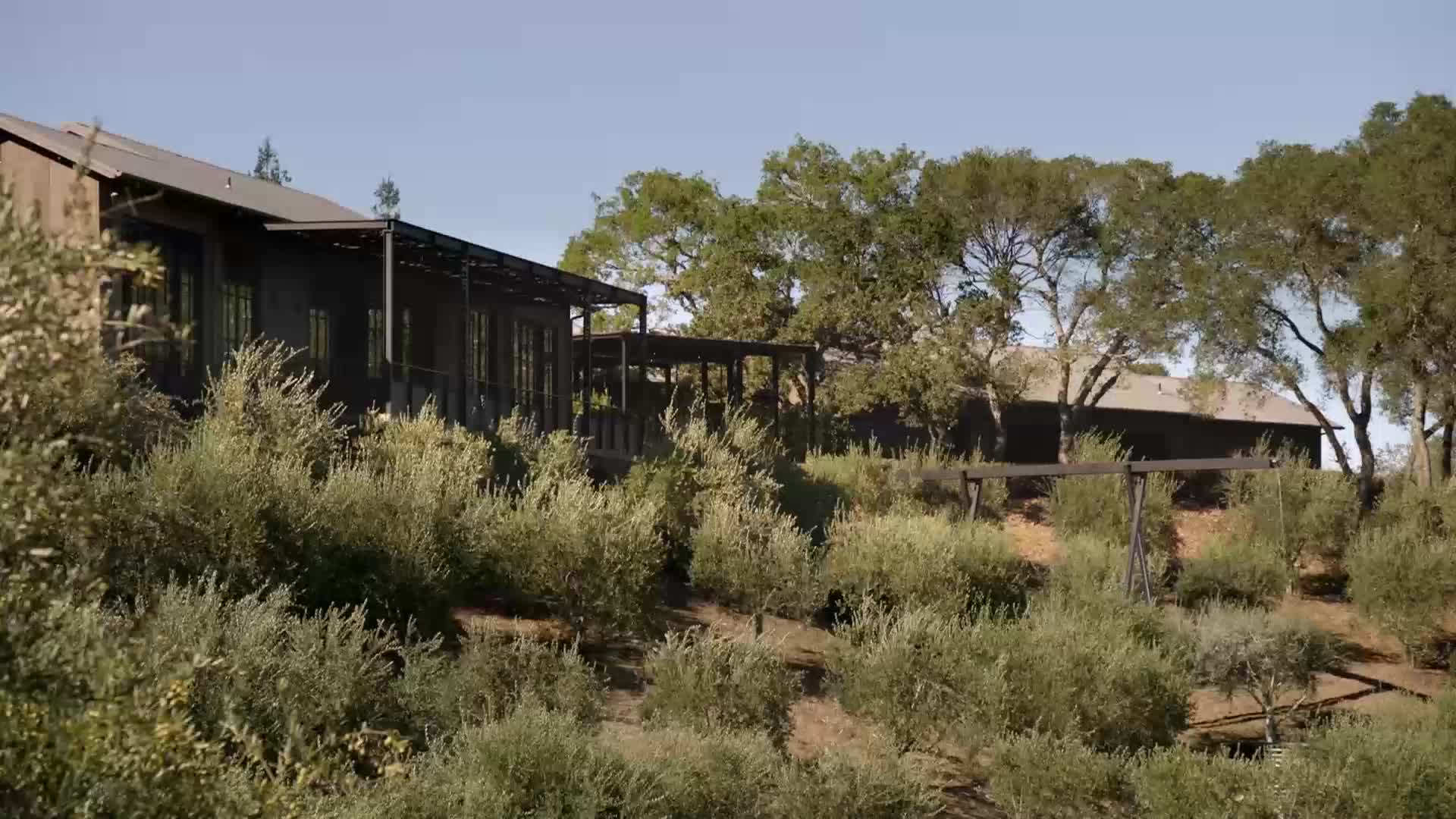 The sun beats down on a series of dark, low-slung buildings nestled into a hillside. Thick, dry brush crowds the foreground, obscuring the foundations of the structures.