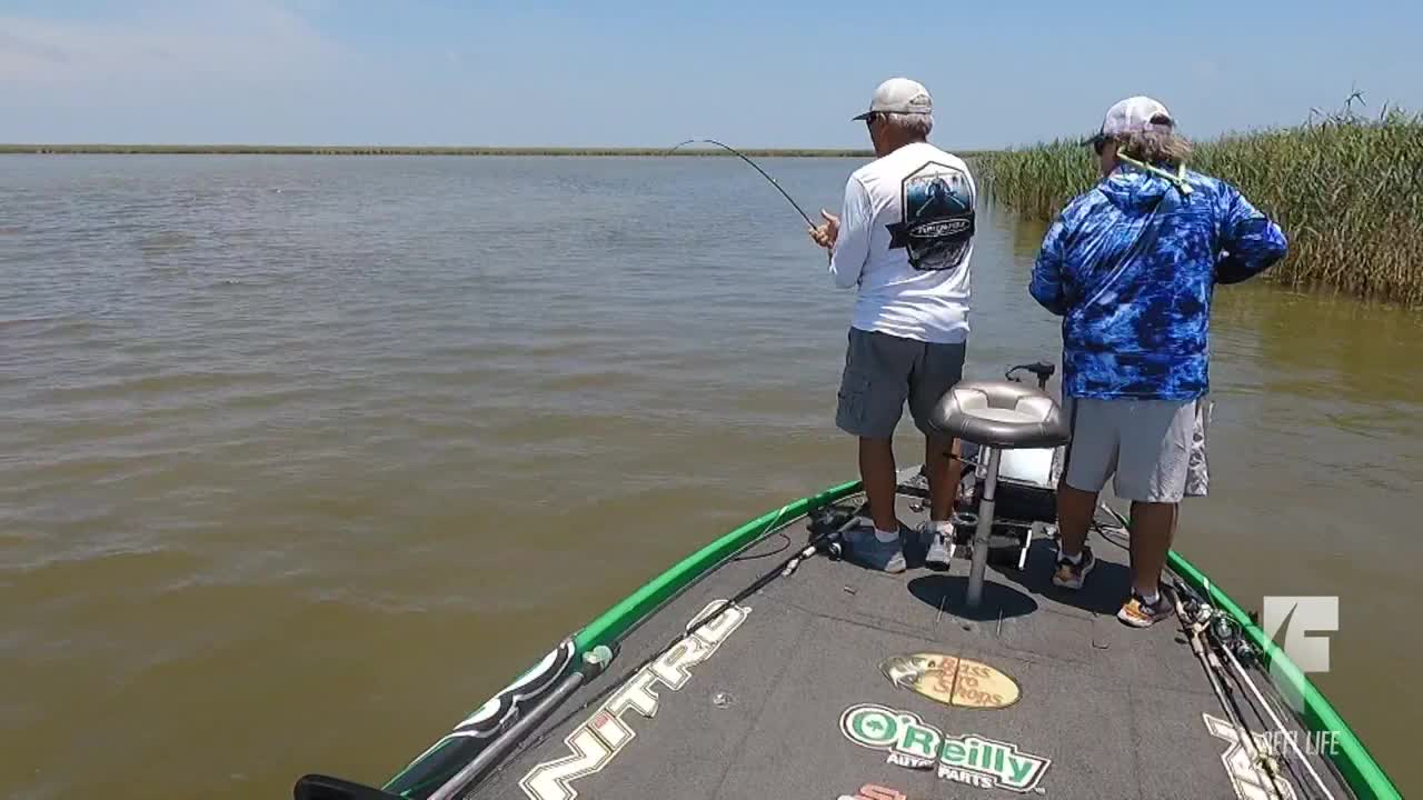 Two men stand on a bass boat, fishing rods in hand, casting lines into the murky water. One man's rod is bent, likely indicating a fish on the line.
