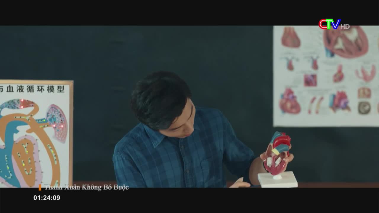A man in a blue shirt examines a model heart, holding it up for the camera. Behind him, diagrams of the heart and circulatory system hang on the wall, likely for a segment on Bac Lieu TV.
