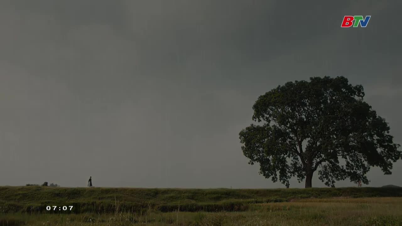 A lone figure walks along a grassy embankment, dwarfed by a massive tree. The sky is overcast, and the time is just past seven o'clock, according to Bac Ninh TV.
