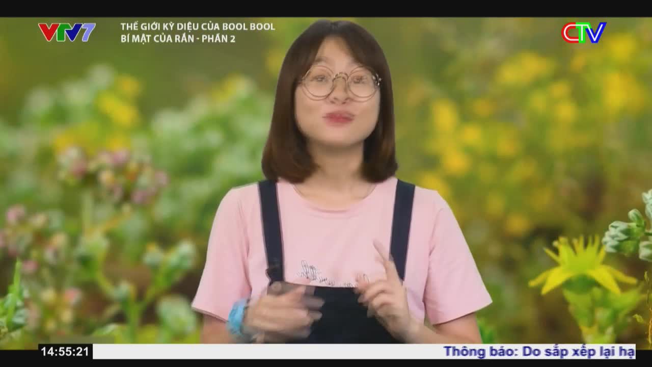 A young woman with glasses stands before a backdrop of blurred green foliage and yellow flowers. She gestures with her hands as she speaks, likely for Ca Mau TV.