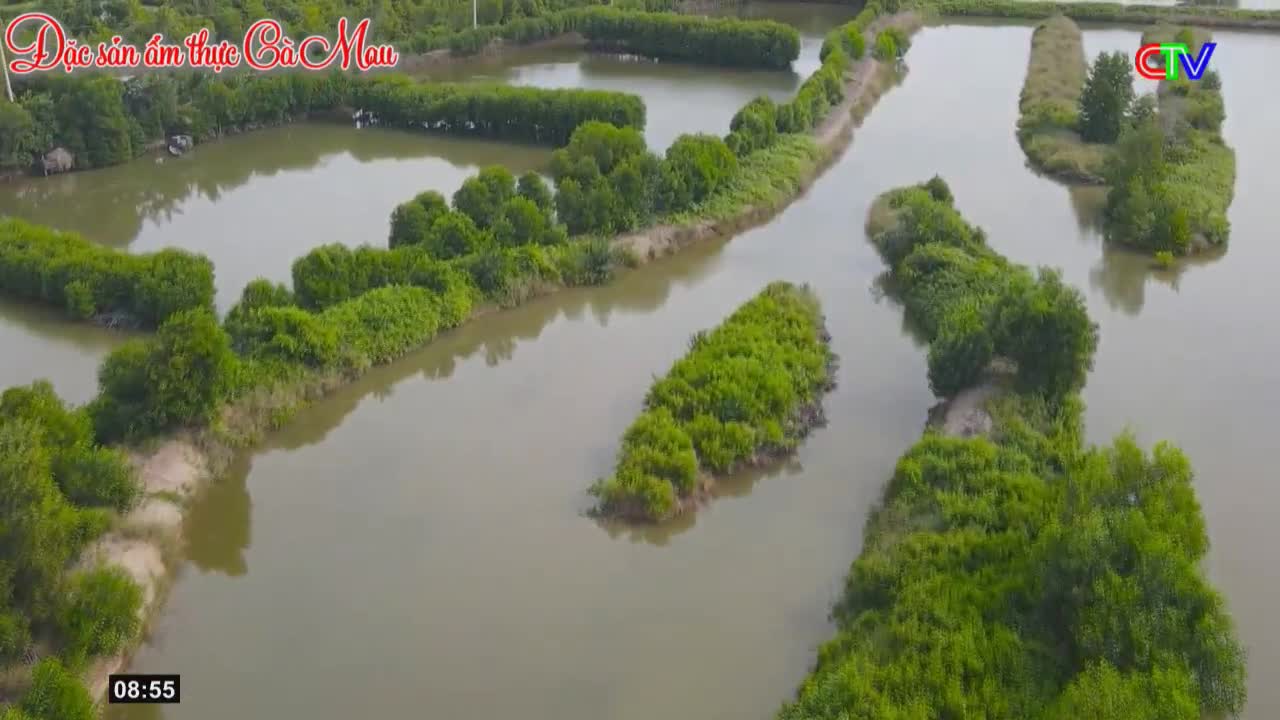 The water here in Ca Mau is calm, reflecting the lush green mangroves that dot the landscape. A small, weathered hut sits nestled amongst the trees on the left, a sign of life in this tranquil setting.
