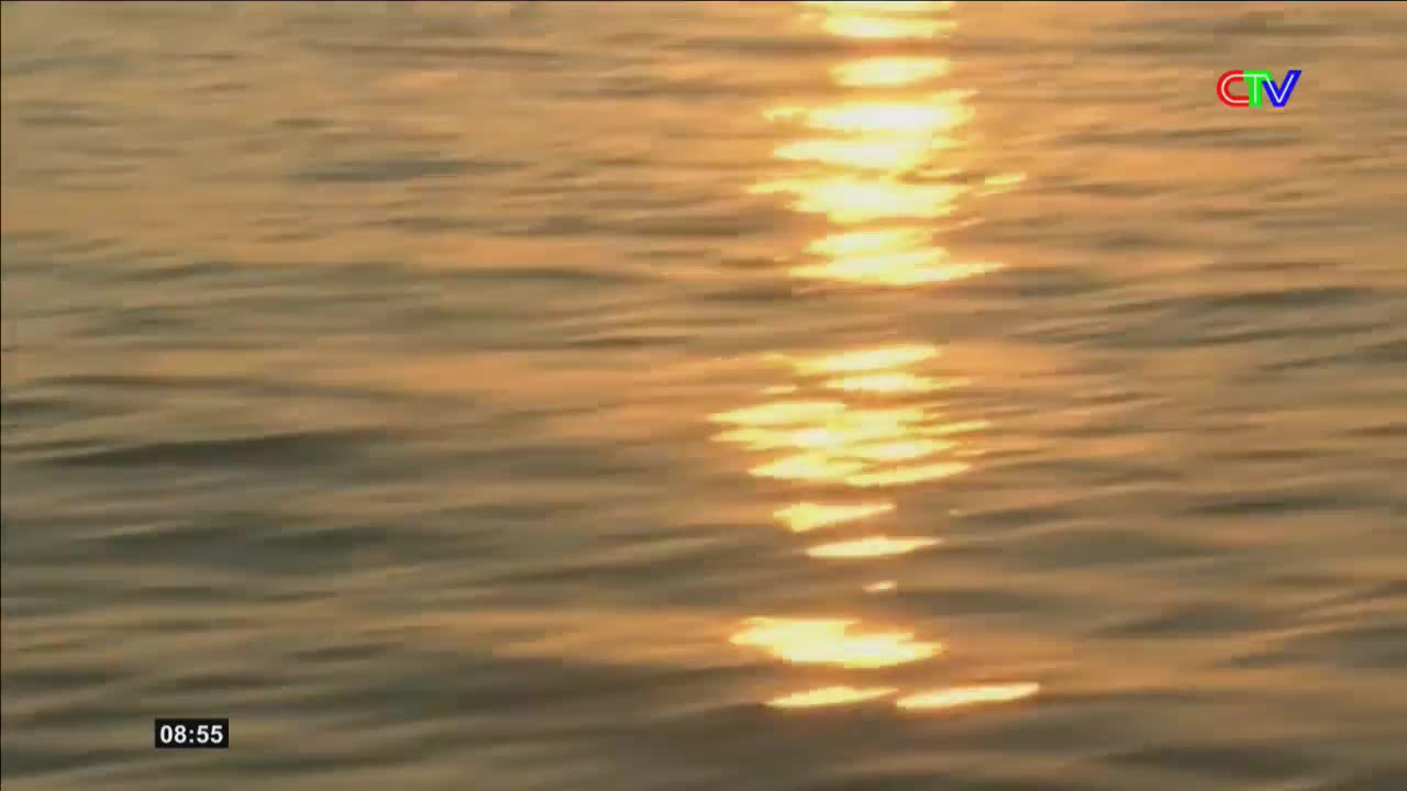 The sun's reflection shimmers across the gentle waves. This is Ca Mau TV, 08:55.