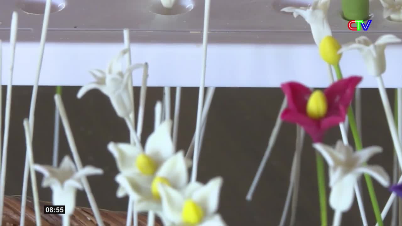 A bright pink flower with a yellow center stands out among delicate white blooms. The Ca Mau TV logo appears in the corner, hinting at a broadcast from Vietnam.