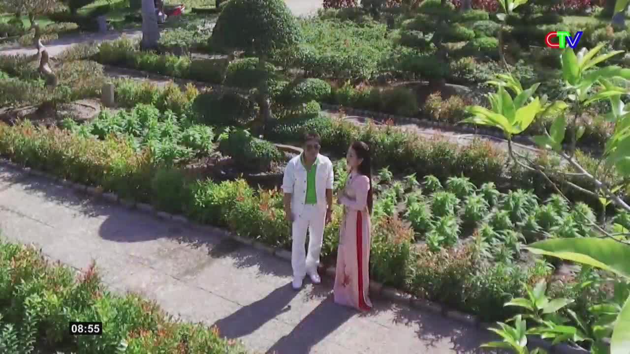 A man in a white suit and a woman in a pink ao dai stand talking in a manicured garden. The Ca Mau TV logo appears in the upper right corner.