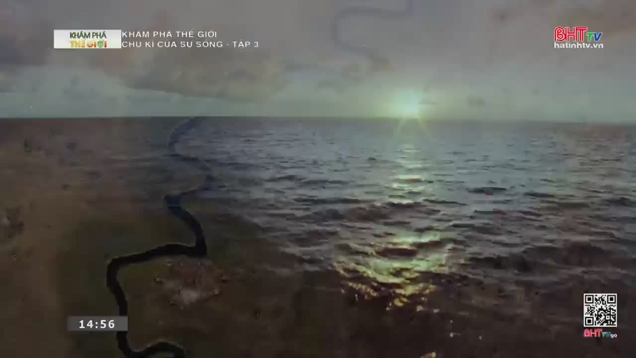 The sun is setting over a vast, choppy sea, its light glinting off the waves. A thin, dark river snakes its way across the land towards the water.