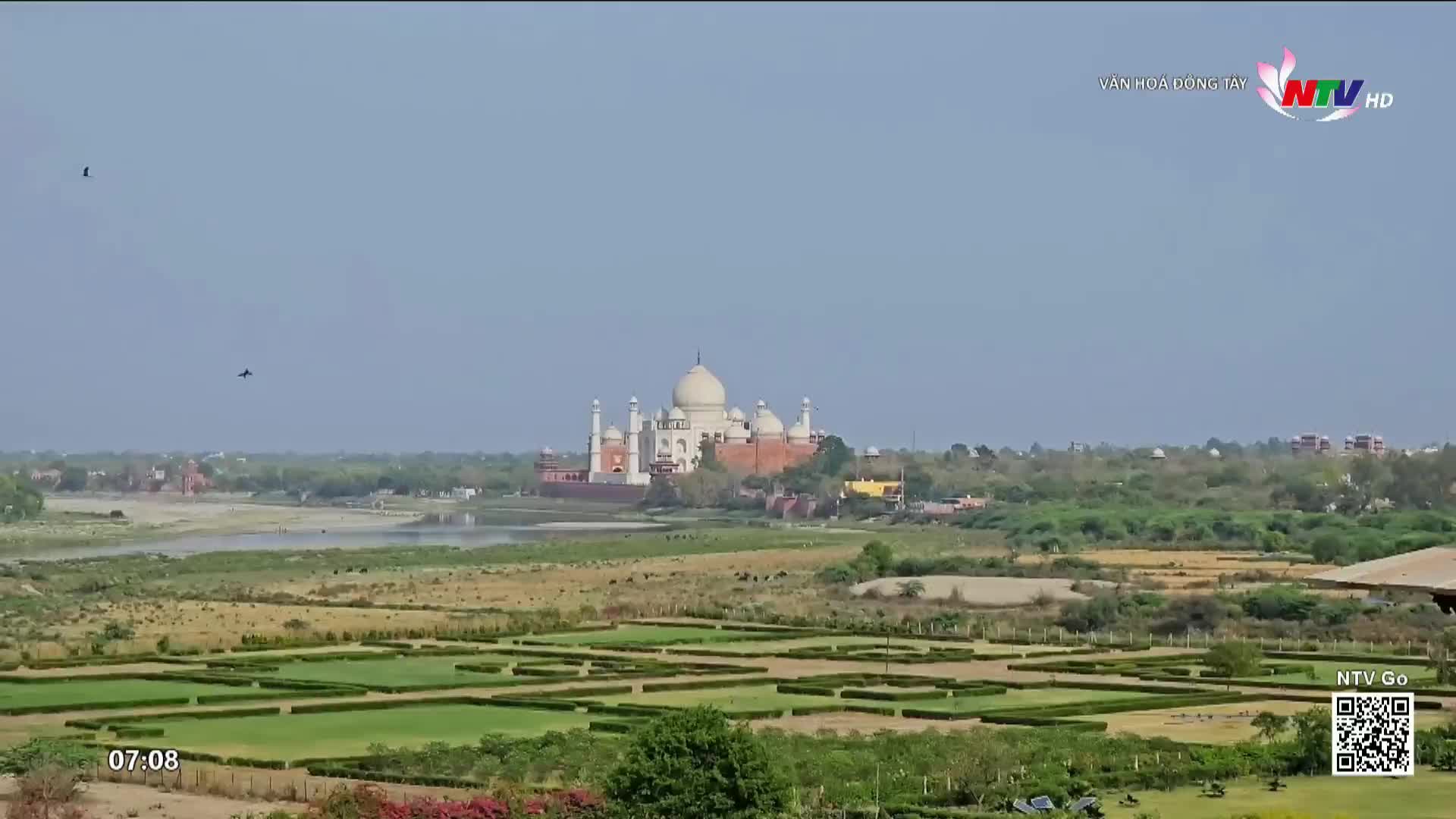 From the Vietnamese television broadcast, the Taj Mahal rises in the distance, its white marble shimmering against the sky. Two birds glide through the air, while the camera captures the scene from a garden below.
