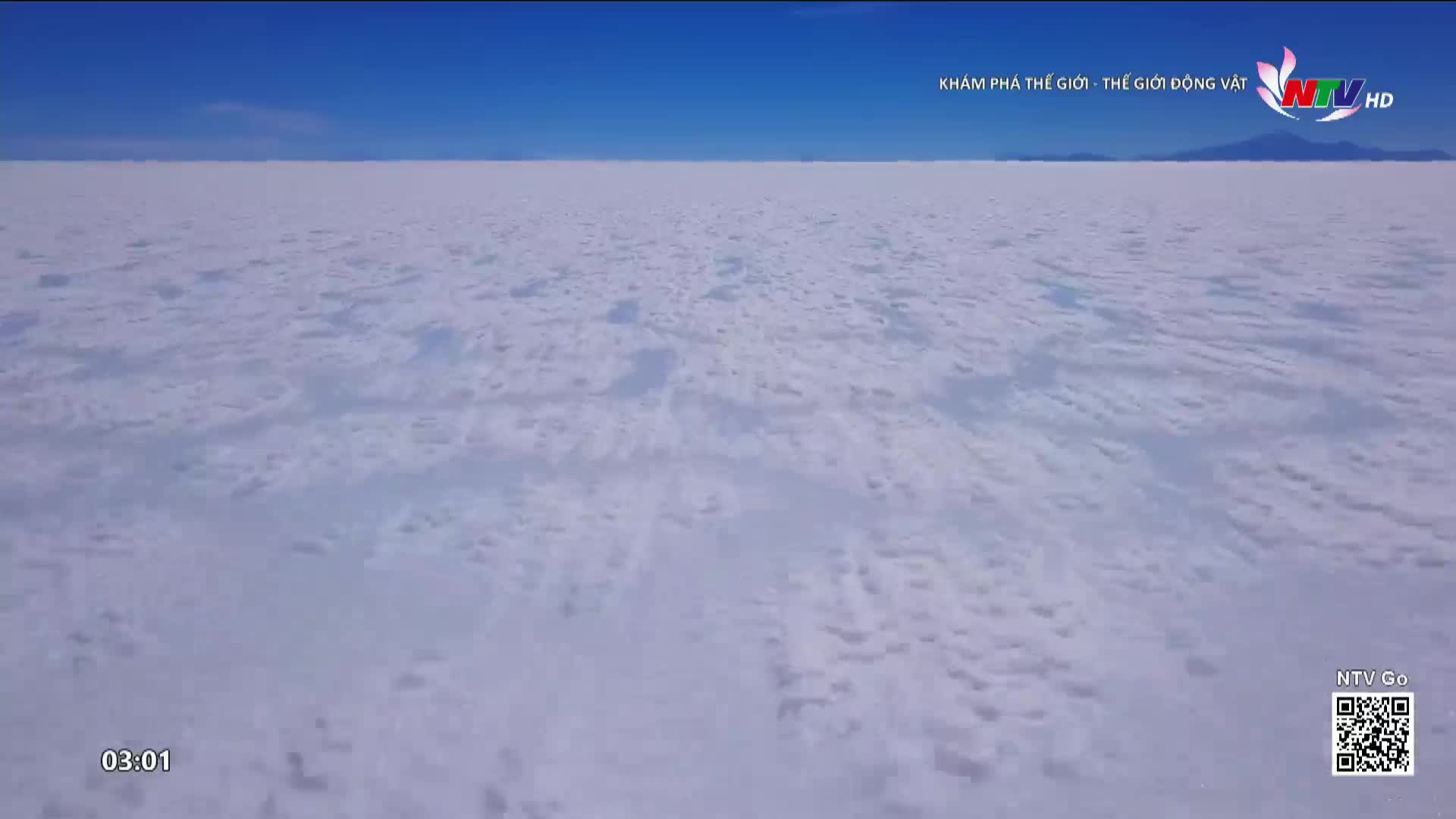 The vast expanse of white clouds stretches out before me under a clear blue sky. A distant mountain range is barely visible on the horizon, hinting at land beyond this sea of white.