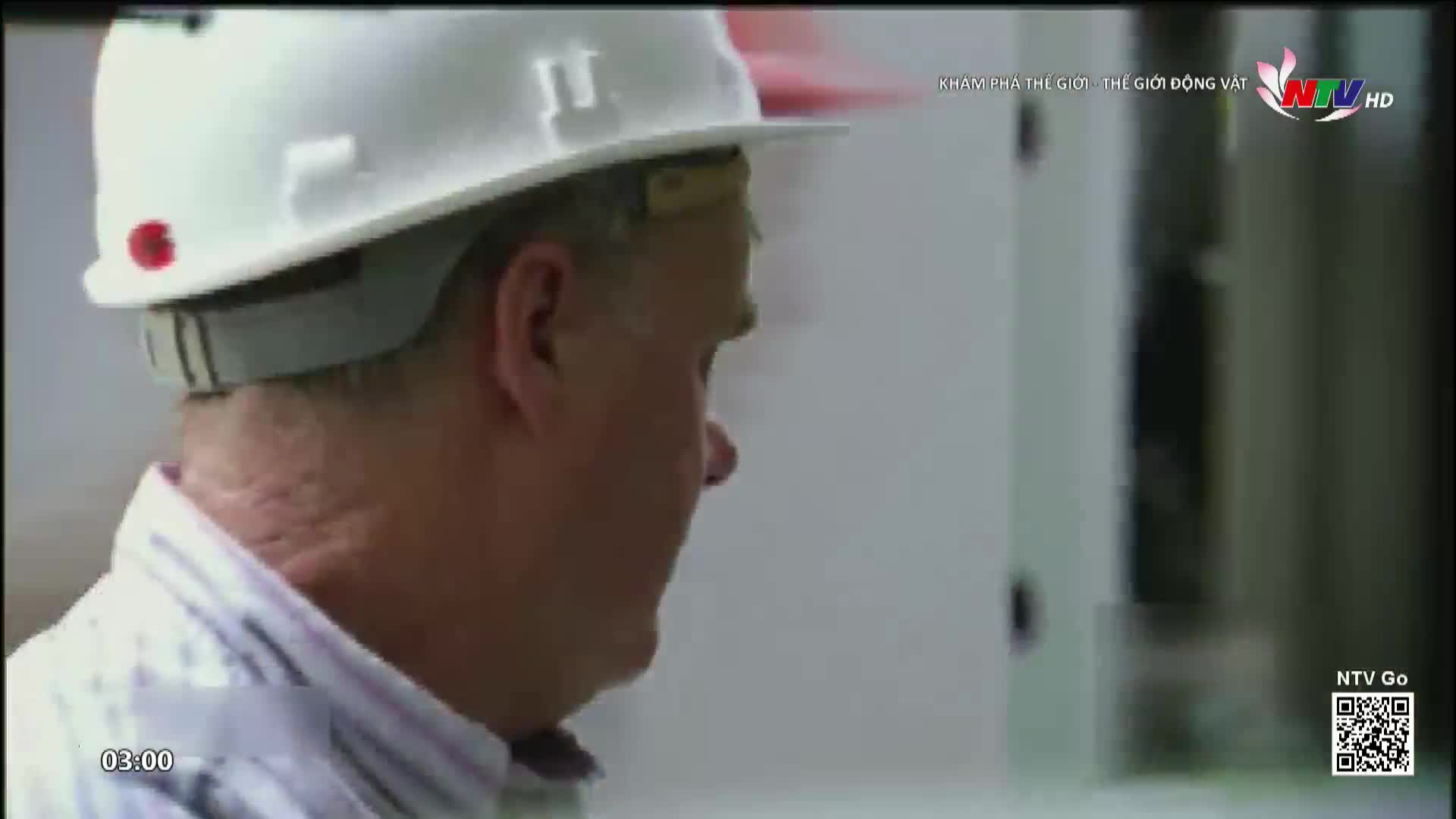 A man in a white hard hat turns his head, his gaze fixed on something just out of frame. The time on the screen reads 03:00, a detail from Nghe An TV.