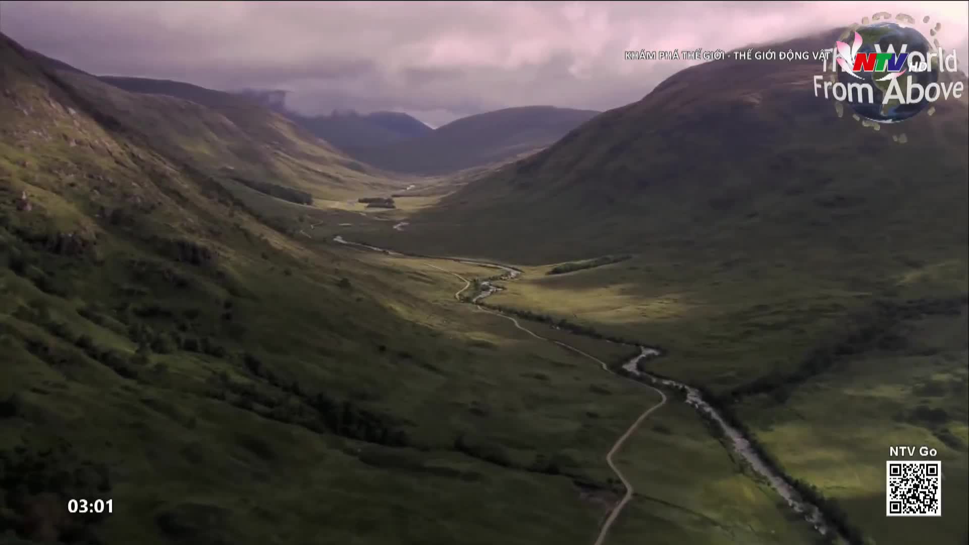 A winding river snakes through a vast, green valley. The NTV World logo hovers above the dramatic landscape.