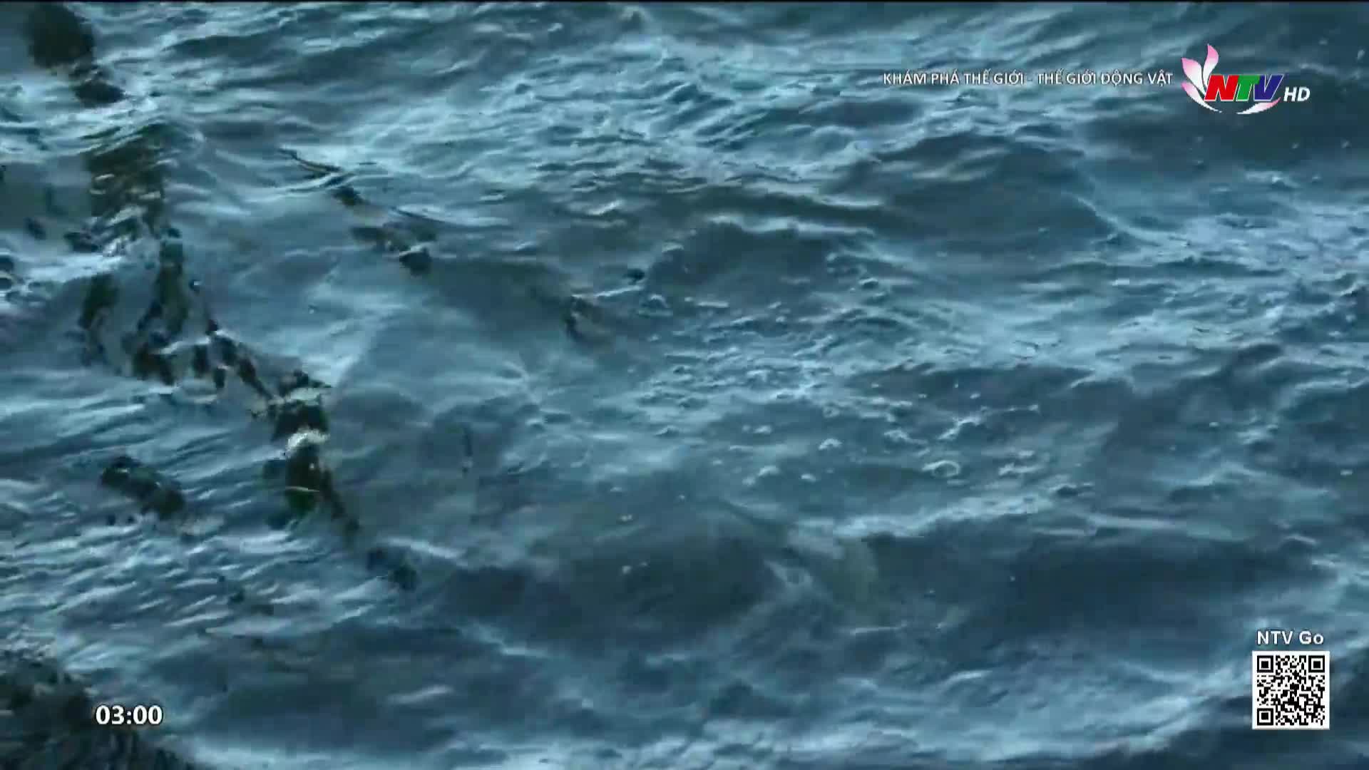 The dark water churns with a choppy rhythm, reflecting the overcast sky. A line of dark shapes, perhaps rocks or debris, breaks the surface along the left side.