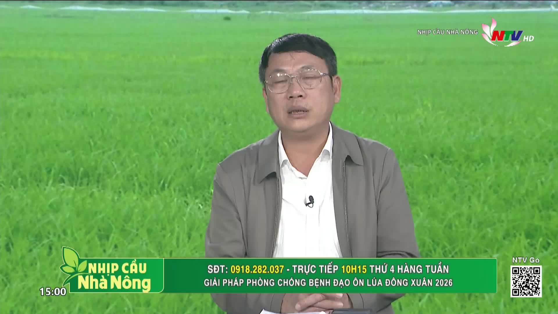 A man speaks on camera with a vibrant green rice field behind him. This is a segment from Nghe An TV, focusing on agricultural advice for farmers.