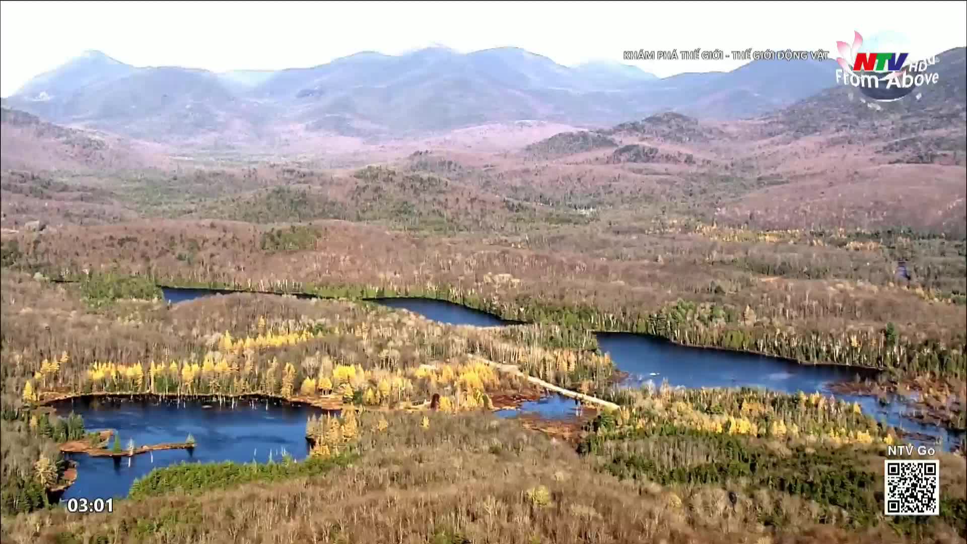 A bridge spans a narrow channel between two dark lakes, reflecting the autumn colors of the surrounding forest. The Nghe An TV broadcast shows a vast, hilly landscape dotted with these tranquil bodies of water.