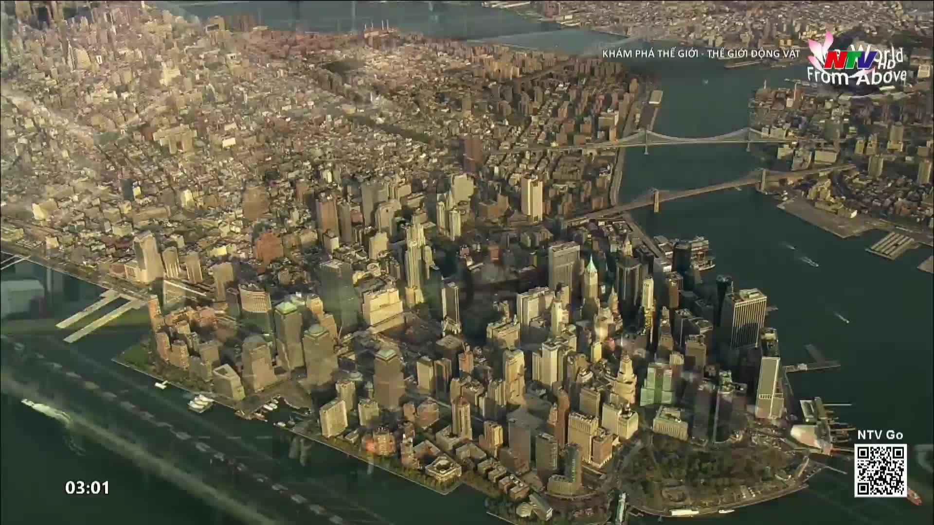A wide expanse of skyscrapers stretches out before me, their glass and steel facades catching the afternoon sun. Boats glide across the dark water, leaving faint wakes as they navigate the busy harbor.