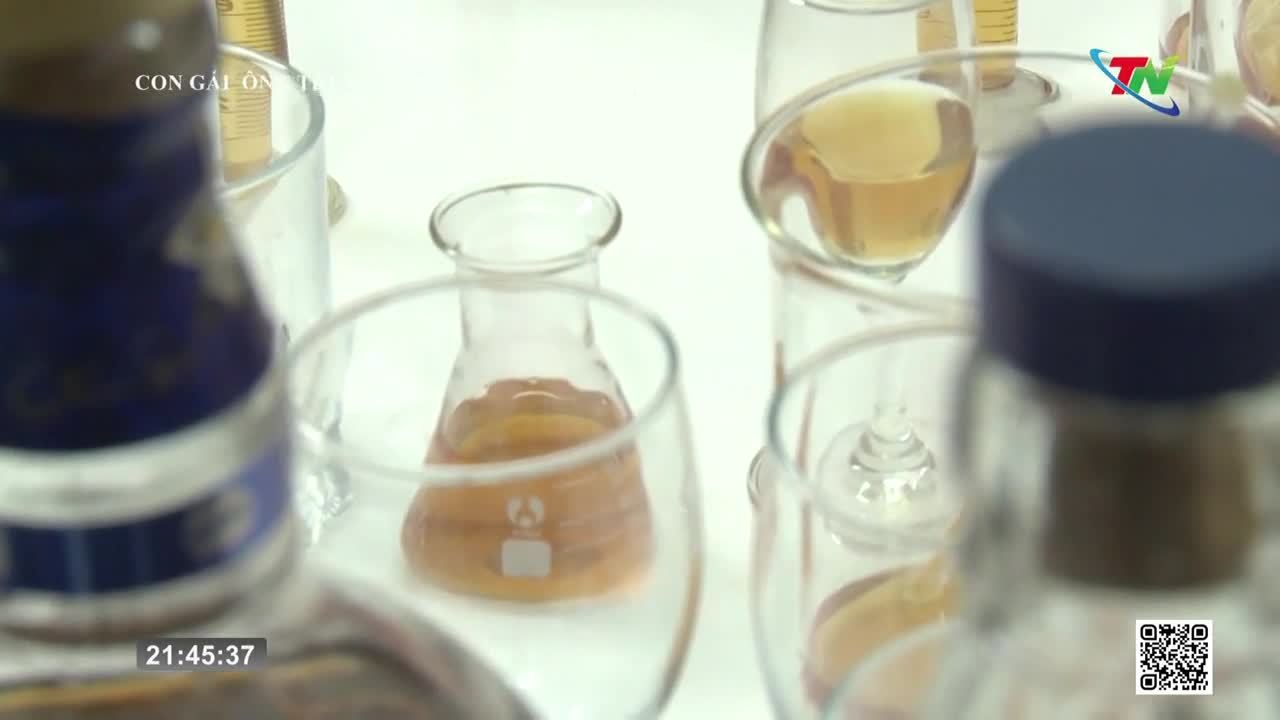 Clear beakers and wine glasses hold amber liquids, arranged on a white surface. The Thai Nguyen TV logo is visible in the corner, and the time reads 21:45:37.
