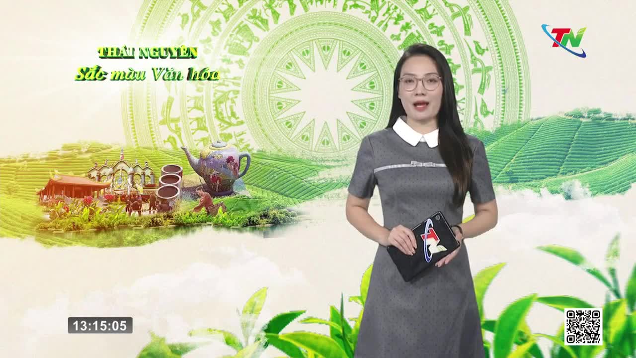A woman in a gray dress stands in front of a backdrop featuring a teapot and tea fields. The Thai Nguyen TV logo is visible, and the time reads 13:15:05.
