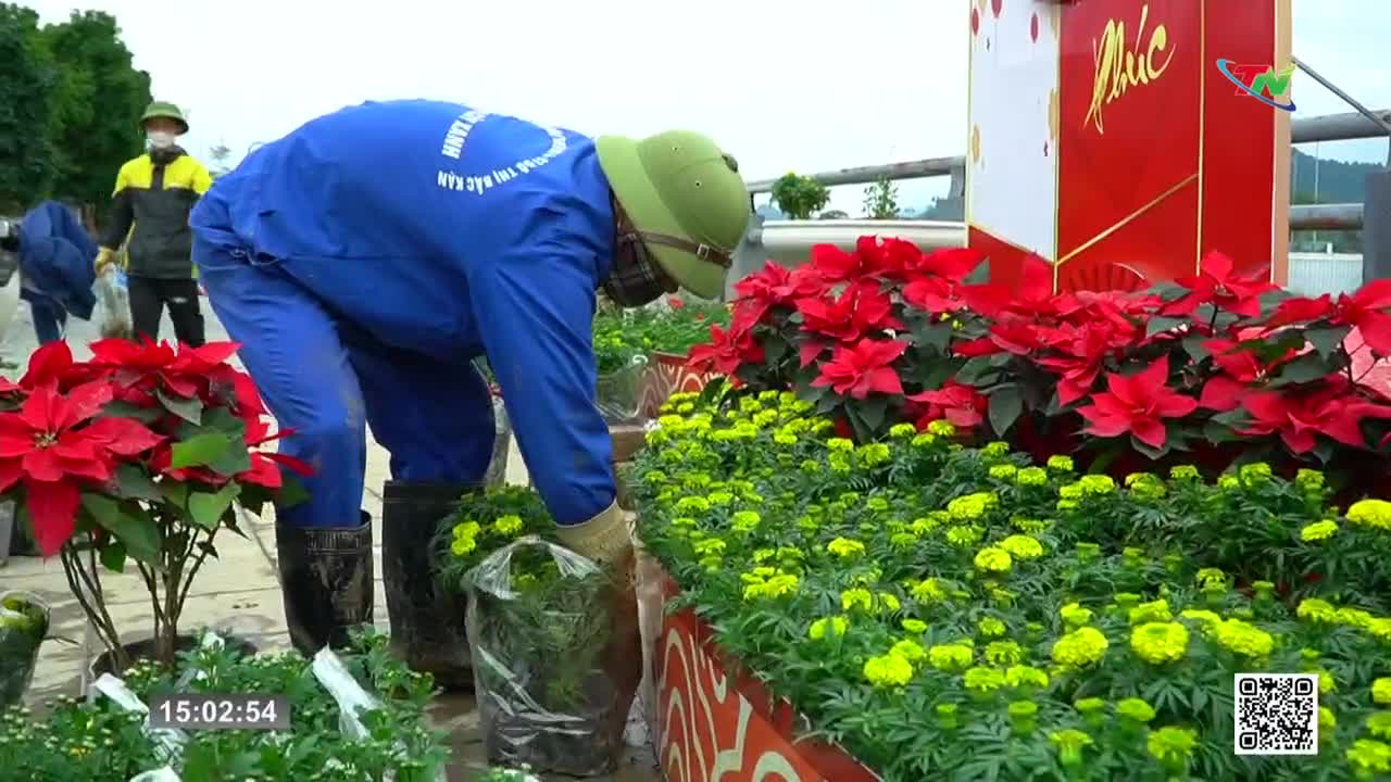 A worker in a blue jumpsuit carefully arranges potted plants, their green hat tilted as they work. Bright red poinsettias and yellow marigolds fill the planters, ready for display.