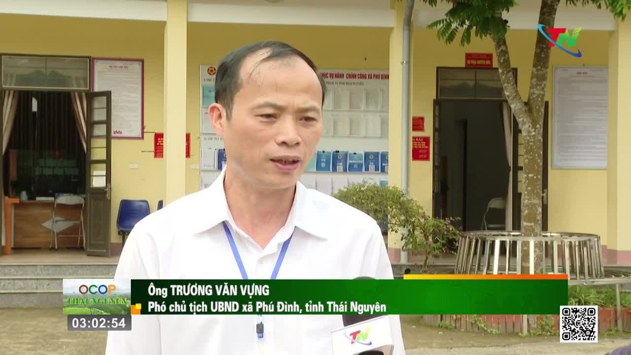 A man in a white shirt stands before a yellow building, speaking into a microphone. A Thai Nguyen TV logo is visible on the microphone.