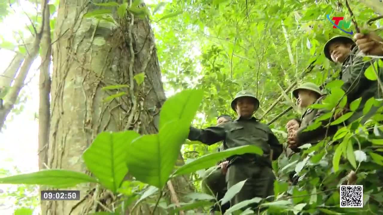 A group of men in military uniforms are navigating through a dense jungle, their faces partially obscured by the thick foliage. One man in the foreground gestures towards something unseen, his hand extended amidst large green leaves.