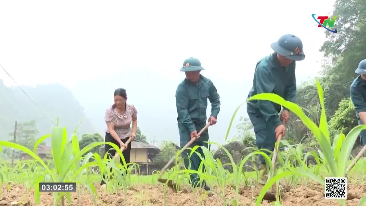 A woman and several men in green uniforms are hoeing a field of young corn. The mist hangs heavy over the green hills behind them.
